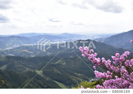 Shinshiro City, Aichi Prefecture, Horaiji Mountain Trail, Azaleas and Mountain Ranges at the Top 88606189