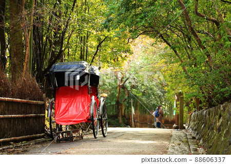 荒涼的嵐山竹林，人力車穿梭於竹林小徑，陽光透過樹梢灑下斑駁的光影。 88606337
