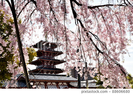 Shitennoji Temple (Five-storied Pagoda) [Tennoji Ward, Osaka City, Osaka Prefecture] 88606680