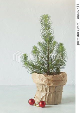 Mini Christmas tree on the white wall background Mini Christmas tree on the white wall background 88607311