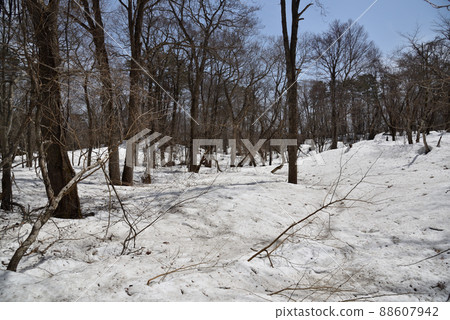 春天裡磐梯 春天裡磐梯 88607942