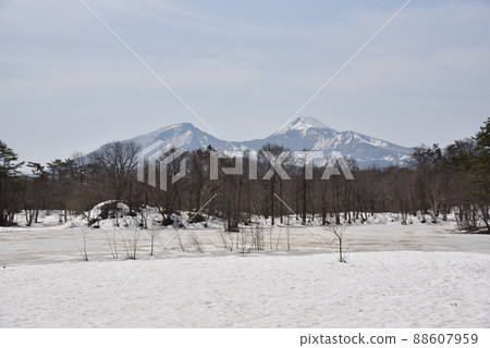 Spring Urabandai 88607959