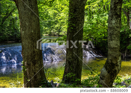 [秋田縣、桃多橫瀧] 六月，自然豐富的桃多橫瀧未開發地區 88608009