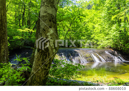[秋田縣、桃多橫瀧] 六月，自然豐富的桃多橫瀧未開發地區 88608010