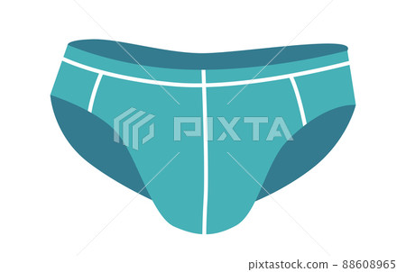 Mens Brief or Thong Underpants Isolated on White Background. Male Underwear Clothing, Swimming Trunks Panties 88608965