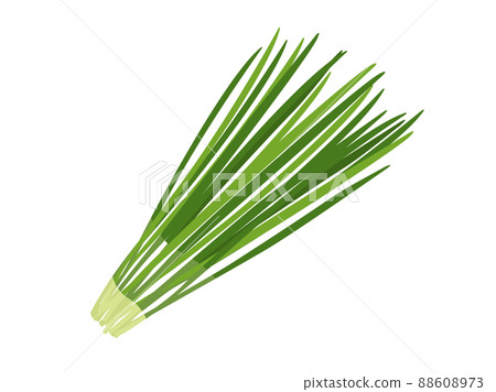 韭菜圖 88608973