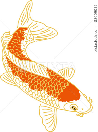 Carp_red_rightward 88609052