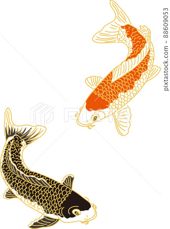 Carp_upper red carp_lower black carp 88609053