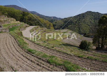 水稻種植前的早春中山稻田 水稻種植前的早春中山稻田 88609368