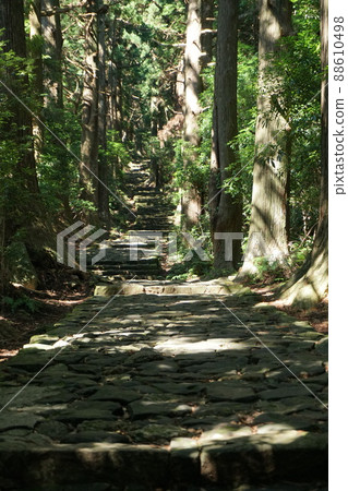 夏日早晨的大門坂 6 88610498