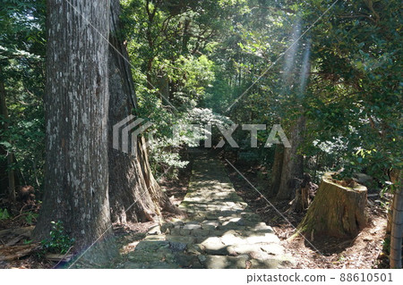 Daimonzaka on a summer morning 9 88610501