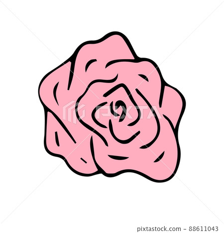 Vector hand drawn doodle sketch pink rose flower Vector hand drawn doodle sketch pink rose flower 88611043