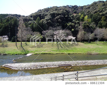 大田河 大田河 88611304