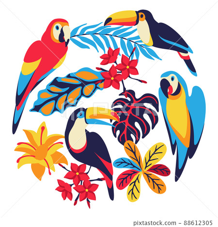 Card with macaw parrot, toucan and tropical plants. Exotic decorative birds, flowers anf leaves. Card with macaw parrot, toucan and tropical plants. Exotic decorative birds, flowers anf leaves. 88612305