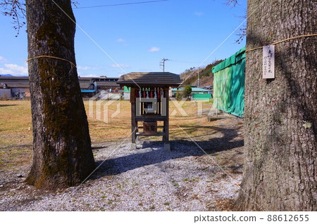 吉田庫神社 下吉田 吉田庫神社 情侶 庫努木樹 良神社 吉田庫神社 下吉田 吉田庫神社 情侶 庫努木樹 良神社 88612655