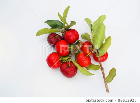 Acerola Cherry with half slice and green leaves isolated on white background Acerola Cherry with half slice and green leaves isolated on white background 88612923