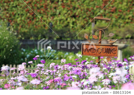 歡迎,五顏六色的花園 歡迎,五顏六色的花園 88613104