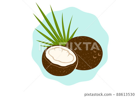 Vector emblem of coconut with palm leaf in retro style. Vector illustration of coconut for shop. Vector emblem of coconut with palm leaf in retro style. Vector illustration of coconut for shop. 88613530