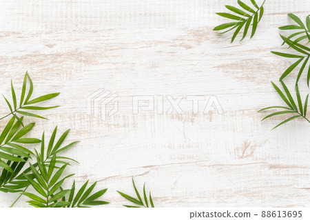 Palm leaf summer frame Palm leaf summer frame 88613695