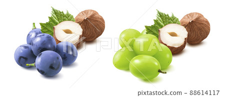 Hazelnuts, blue and green grapes set isolated on white background. Nuts and berries mix. 88614117