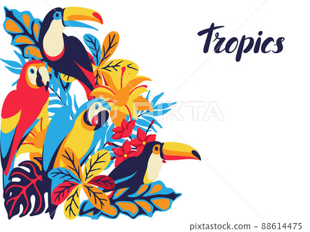 Card with macaw parrot, toucan and tropical plants. Exotic decorative birds, flowers anf leaves. Card with macaw parrot, toucan and tropical plants. Exotic decorative birds, flowers anf leaves. 88614475