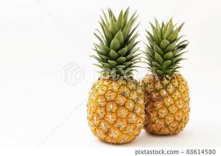 White back pineapple 88614580