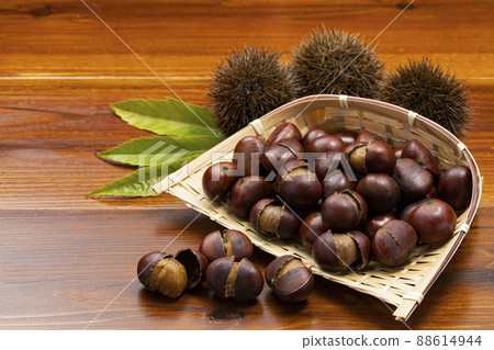 Sweet chestnuts with shells on a colander Sweet chestnuts with shells on a colander 88614944