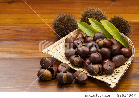 Sweet chestnuts with shells on a colander Sweet chestnuts with shells on a colander 88614947