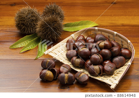 Sweet chestnuts with shells on a colander Sweet chestnuts with shells on a colander 88614948