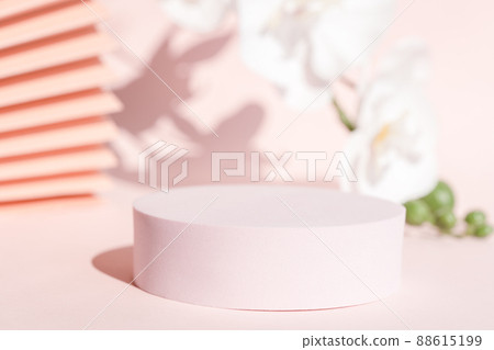 Modern packaging design, pastel color backdrop, flowers and fan. 88615199