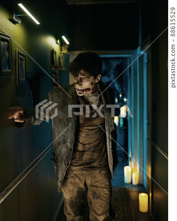 Insidious zombie looking for victim in house 88615529