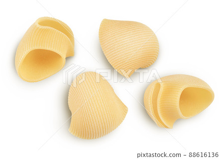 lumaconi pasta isolated on white background with clipping path and full depth of field. Top view. Flat lay lumaconi pasta isolated on white background with clipping path and full depth of field. Top view. Flat lay 88616136