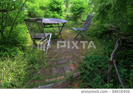 Table in gardening (Gifu World Rose Garden, Former Flower Festa Memorial Park, Kani City, Gifu Prefecture) Table in gardening (Gifu World Rose Garden, Former Flower Festa Memorial Park, Kani City, Gifu Prefecture) 88616408