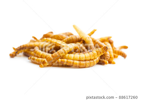Fried salty worms. Roasted mealworms. 88617260
