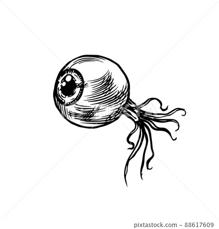 Cornea or Muscles of Human eye. Vintage engraving sketch. Doodle outline. Hand drawing. 88617609