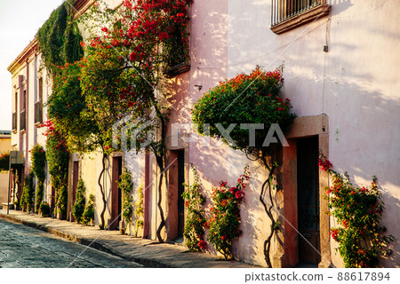 Beautiful street paved with cobblestone, with trees in a sunny summer day Beautiful street paved with cobblestone, with trees in a sunny summer day 88617894