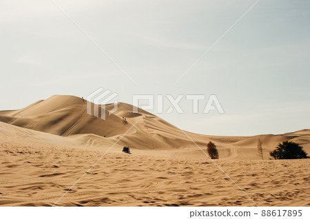 Landscape of Huacachina desert. in Ica, Peru. Landscape of Huacachina desert. in Ica, Peru. 88617895
