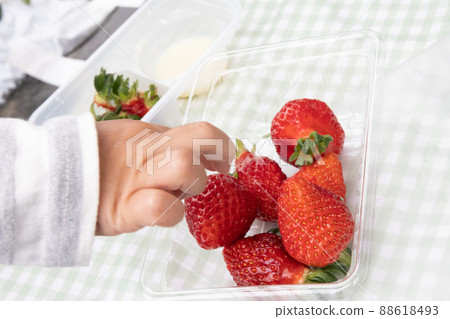 孩子們的手吃草莓採摘草莓 孩子們的手吃草莓採摘草莓 88618493