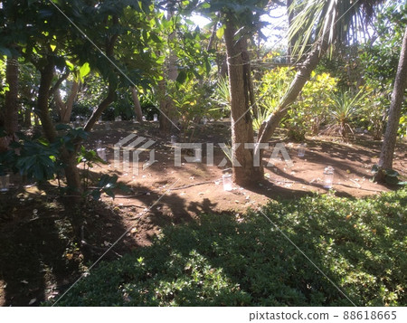 鎌倉和江之島探索 2021 版 11 月 5 日圖像。得天獨厚的好天氣，富士山也是壯麗的景色。 88618665