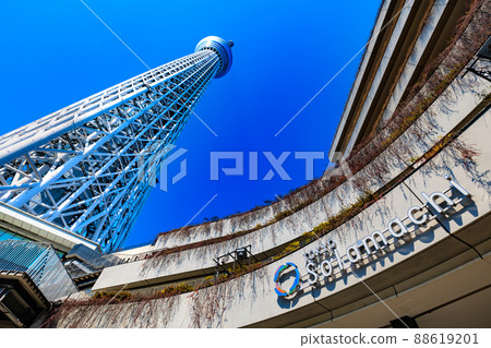 東京都墨田區晴空塔和天空町 東京都墨田區晴空塔和天空町 88619201