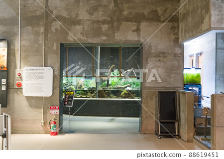 Aquamarine Inawashiro Kawasemi 水族館的展覽 Aquamarine Inawashiro Kawasemi 水族館的展覽 88619451