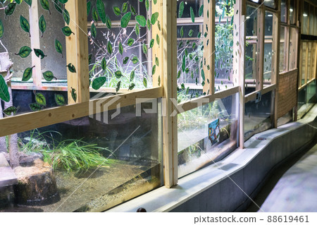 Aquamarine Inawashiro Kawasemi 水族館的展覽 Aquamarine Inawashiro Kawasemi 水族館的展覽 88619461