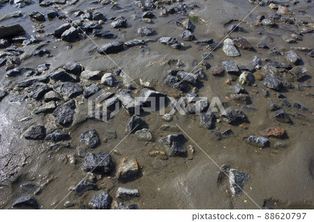 foreshore foreshore 88620797