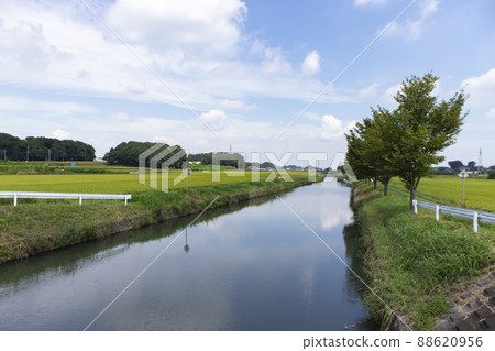 茨城縣古河市的田園風光 88620956
