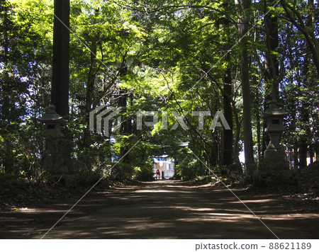 The approach to the summer The approach to the summer 88621189