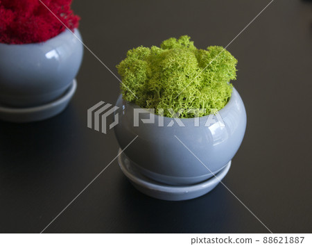 Scandiamos Scandiamos 88621887