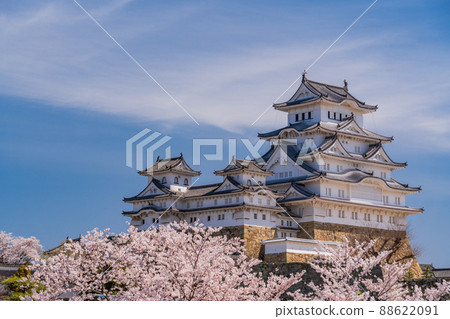 (Hyogo Prefecture) World heritage Himeji Castle, castle tower, cherry blossoms in full bloom 88622091