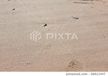 Sandy beach Sandy beach 88622447