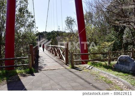 群馬縣高崎市觀音山響橋和藍天（染料植物園方向） 88622611