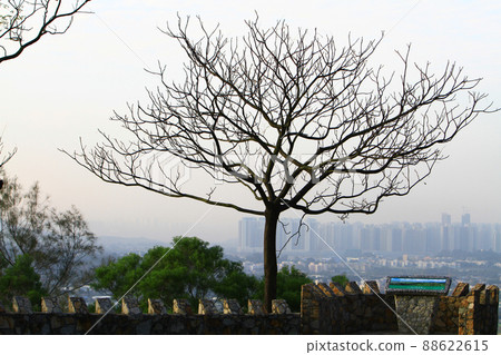 a Stone Wall at the Tai Lam Country Park 88622615